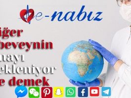 Diğer Ebeveynin onayı bekleniyor ne demek