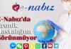 E-Nabız'da kronik hastalığım görünmüyor