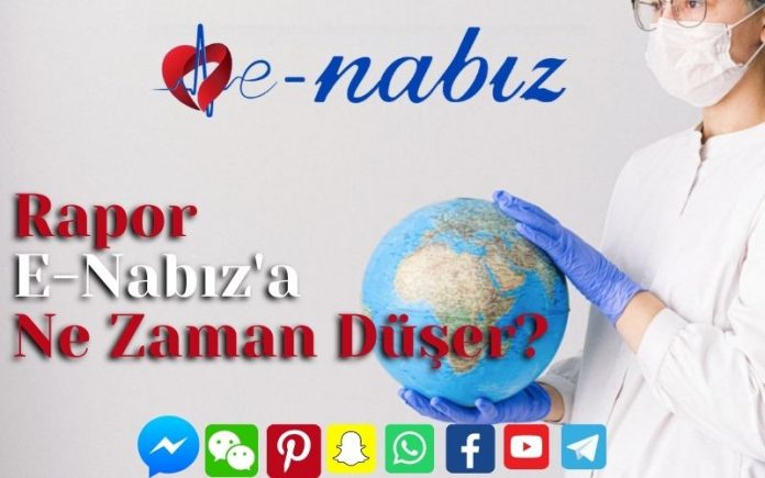 Rapor E-Nabız'a Ne Zaman Düşer