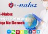 E-Nabız Değer Referans Dışı Ne Demek