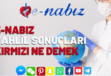 E-Nabız tahlil sonuçları kırmızı