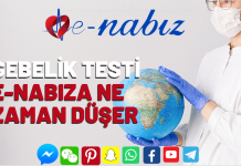 Gebelik testi E-Nabıza ne zaman düşer