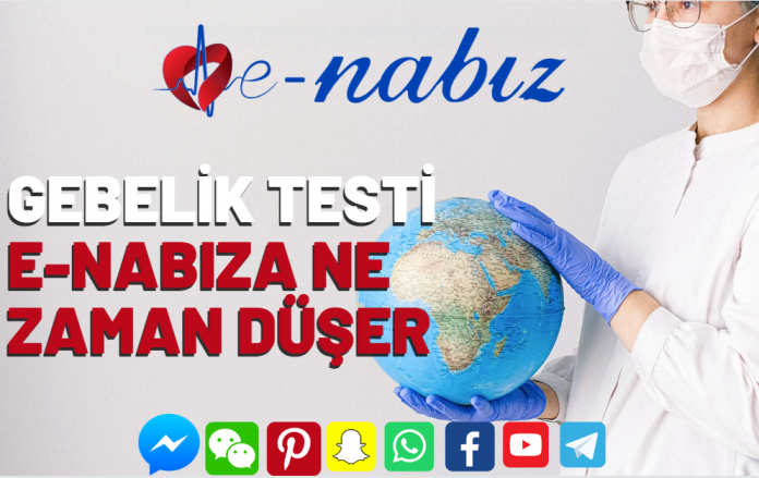 Gebelik testi E-Nabıza ne zaman düşer